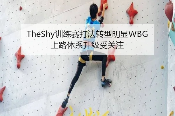 TheShy训练赛打法转型明显WBG上路体系升级受关注
